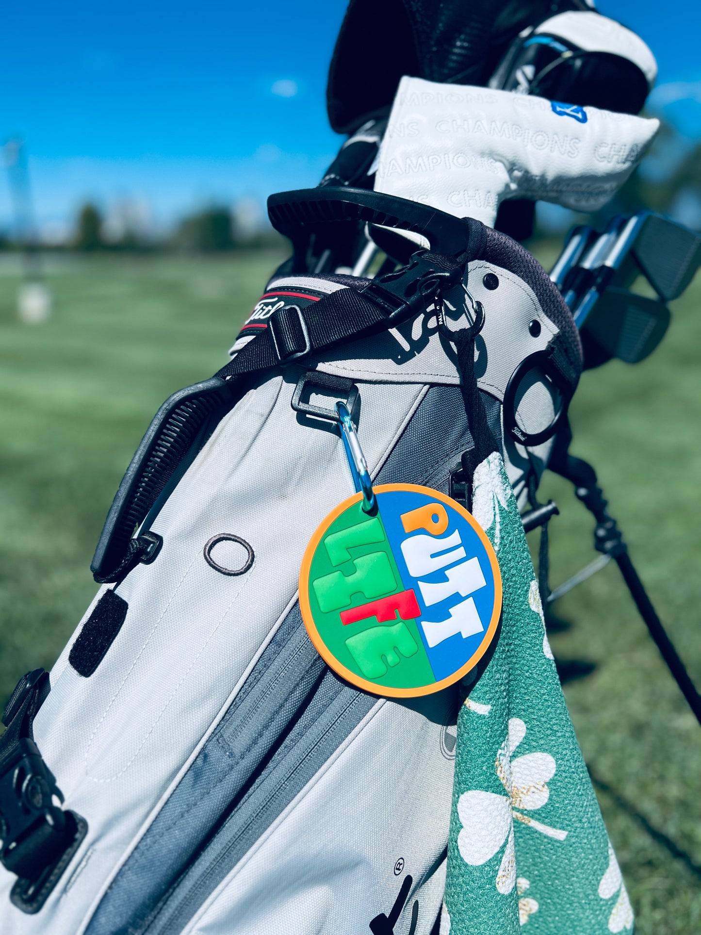 Putting Disc - Blue and Green