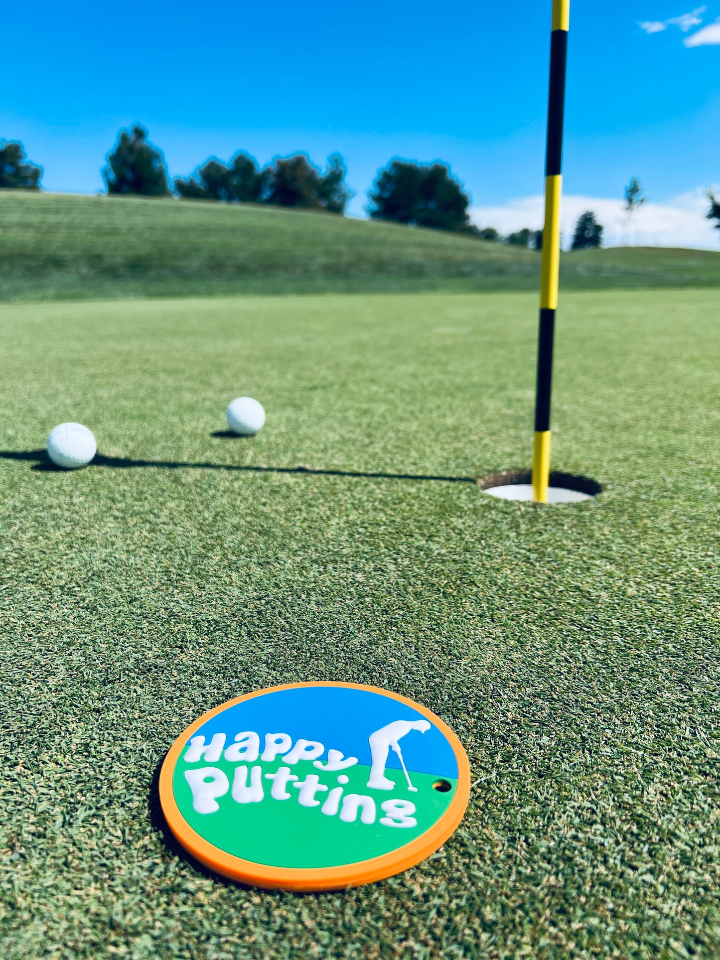 Putting Disc - Blue and Green