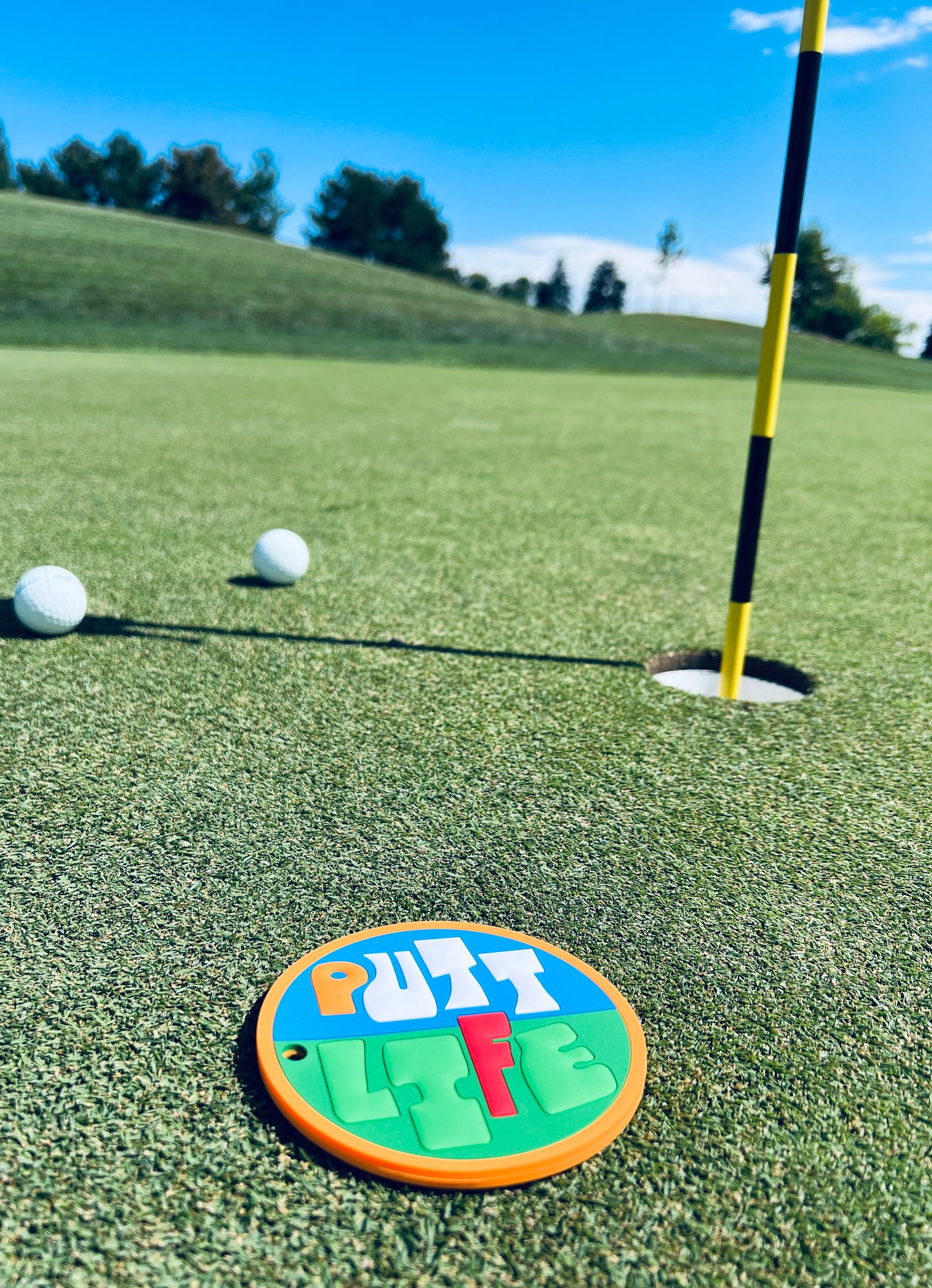 Putting Disc - Blue and Green